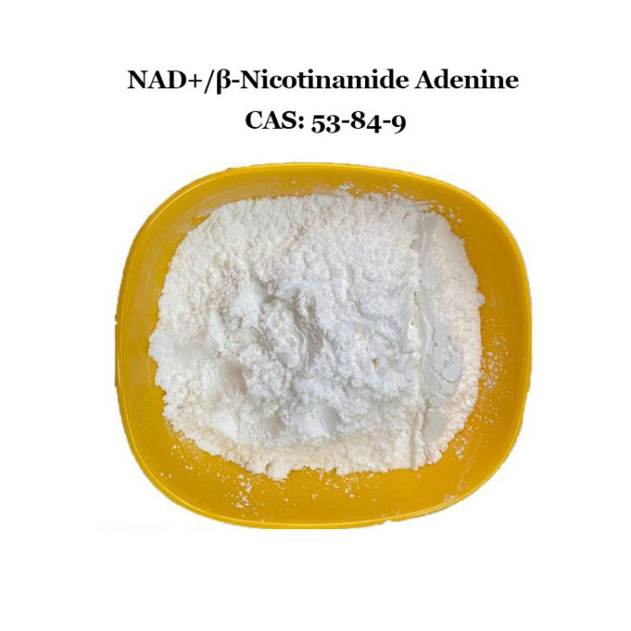 NAD+(β-Nicotinamide Adenine)