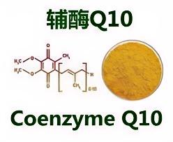 Coenzyme Q10
